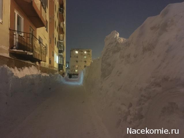 "Живой уголок"