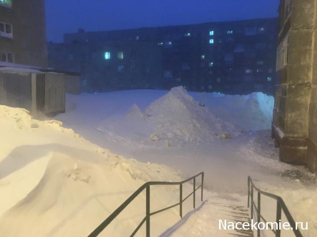 "Живой уголок"