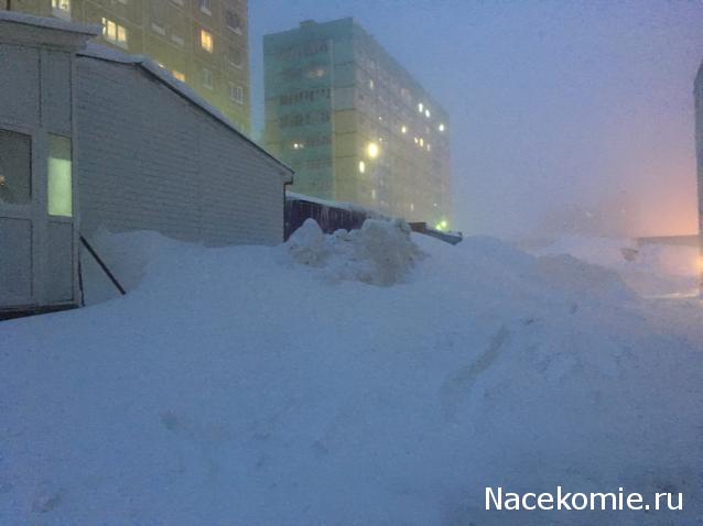 "Живой уголок"