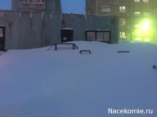 "Живой уголок"