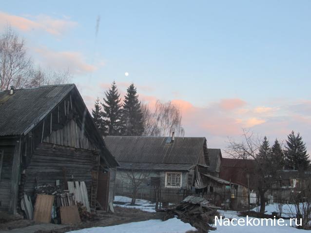 "Живой уголок"