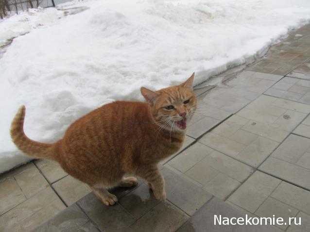 "Живой уголок"