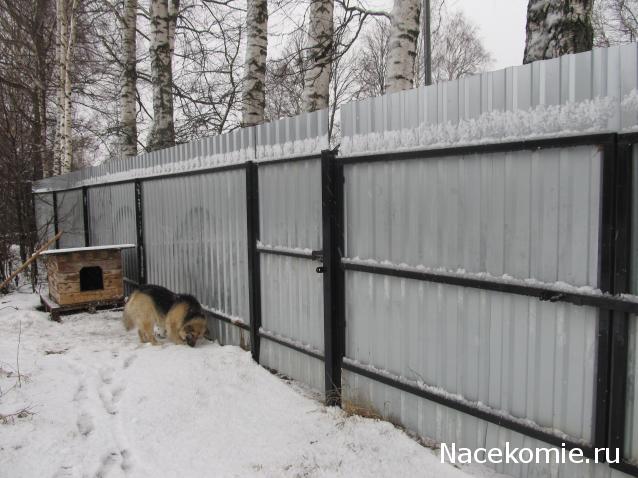 "Живой уголок"