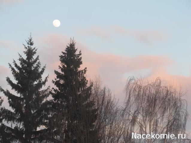 "Живой уголок"