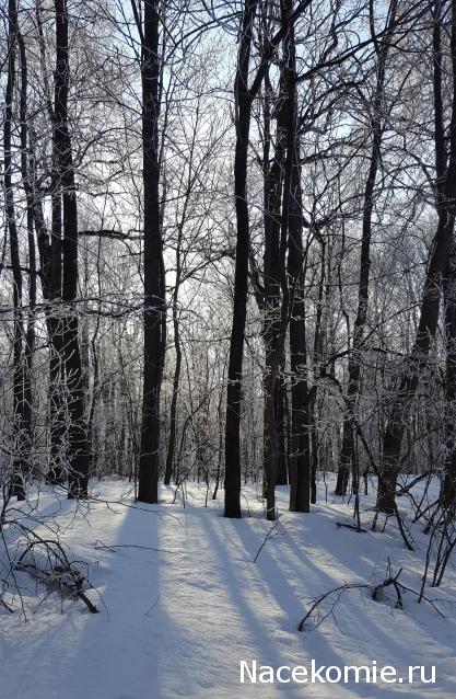 "Живой уголок"