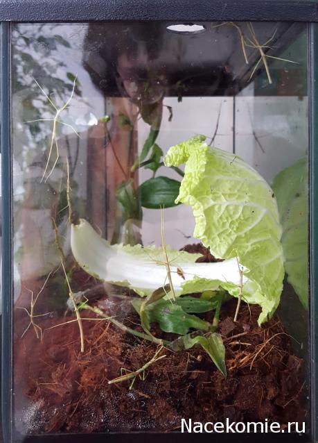 "Живой уголок"