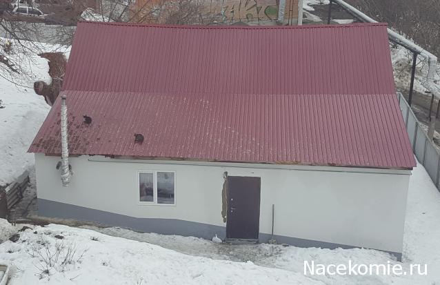 "Живой уголок"