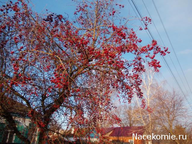 Куклы в народных костюмах – "Девчушки-болтушки"