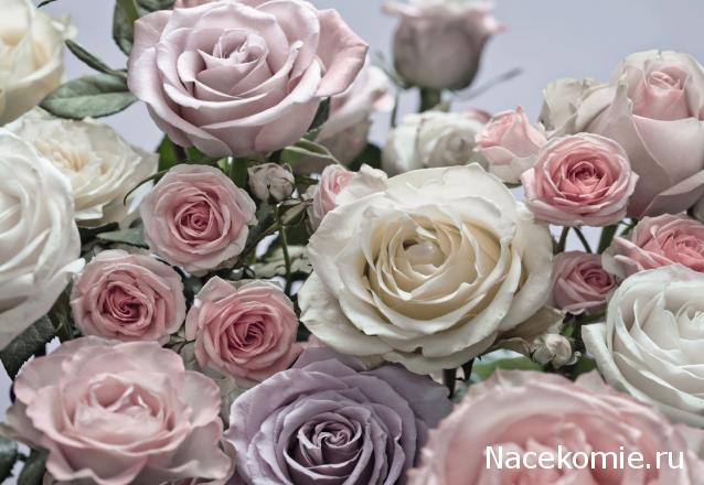 Somerlin: Наверное, это мой рай...