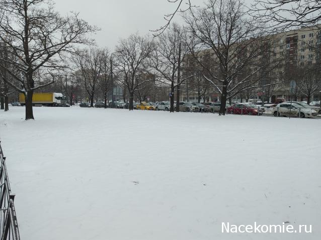 "Живой уголок"