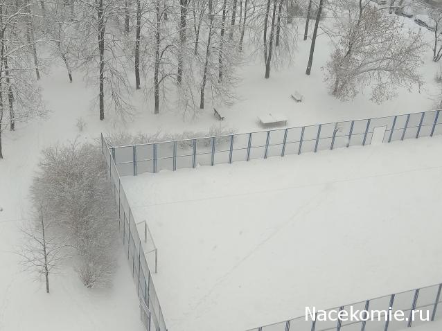 "Живой уголок"