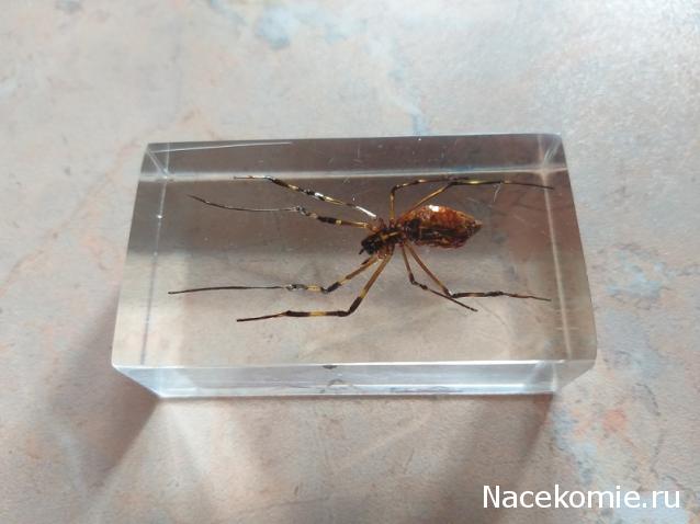 "Живой уголок"