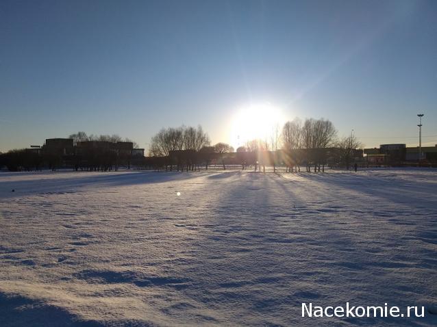 "Живой уголок"