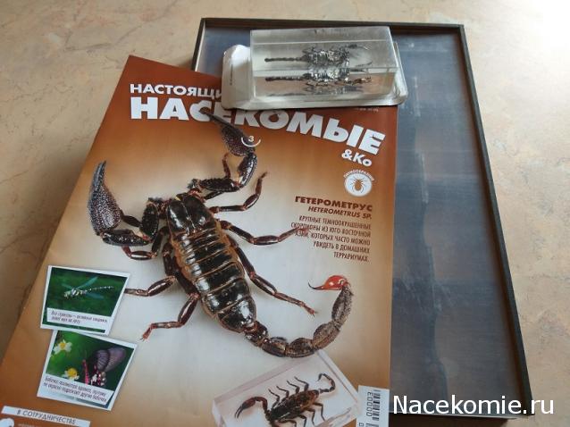 "Живой уголок"