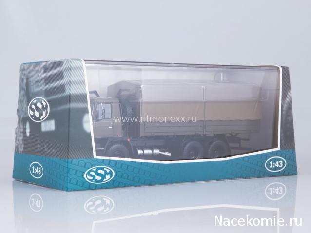 Start Scale Models (SSM)