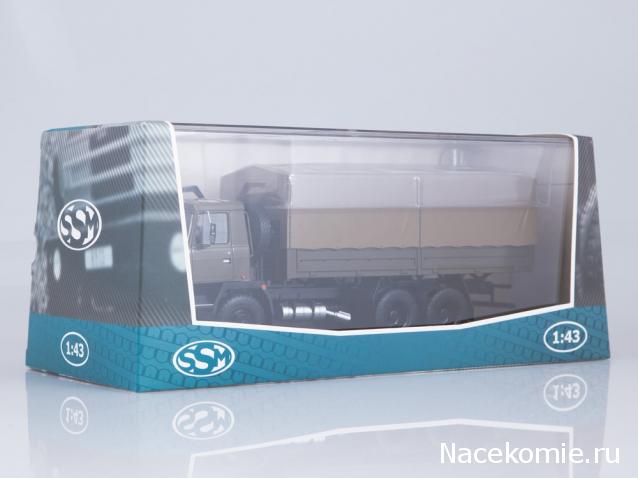 Start Scale Models (SSM)