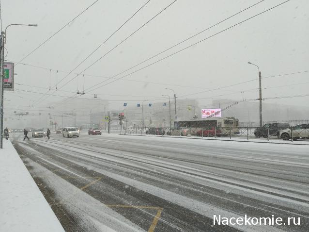 "Живой уголок"