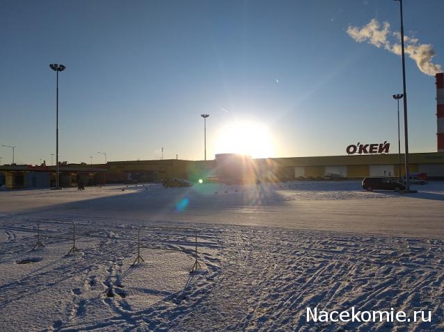 "Живой уголок"