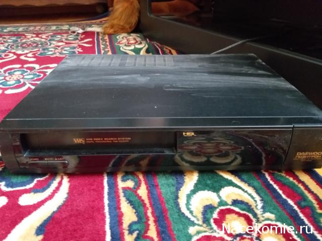 Вперёд в прошлое!