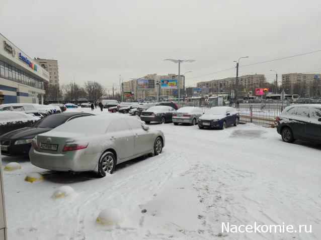 "Живой уголок"