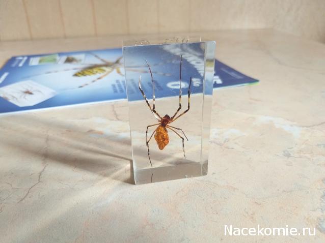 "Живой уголок"