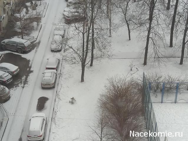 "Живой уголок"