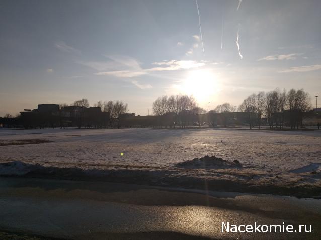 "Живой уголок"