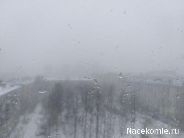 "Живой уголок"