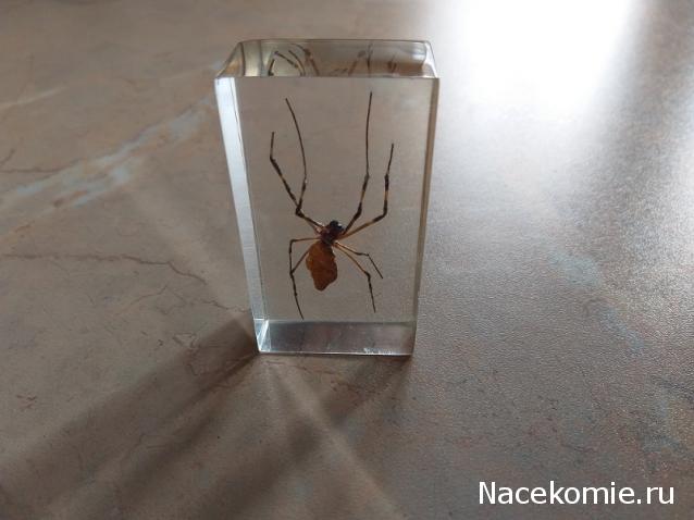 "Живой уголок"