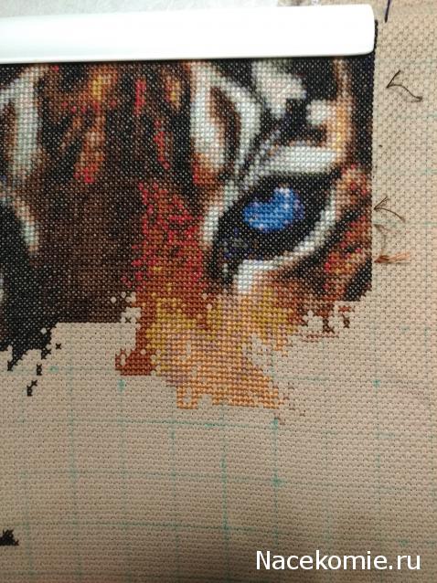 100 крестиков!