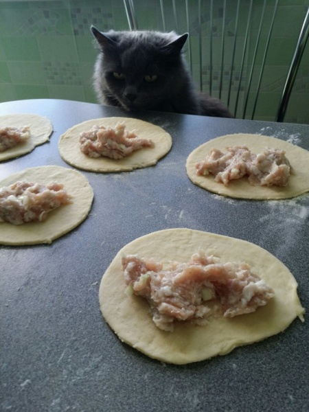 "Живой уголок"