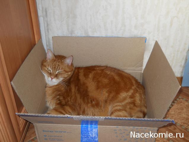 "Живой уголок"