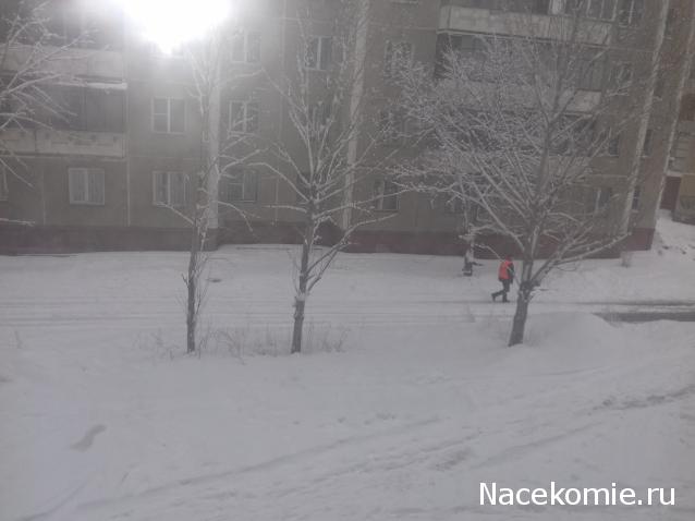 "Живой уголок"