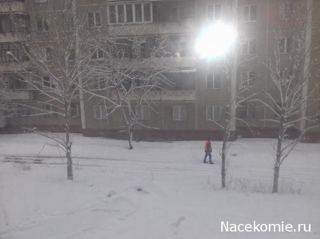 "Живой уголок"