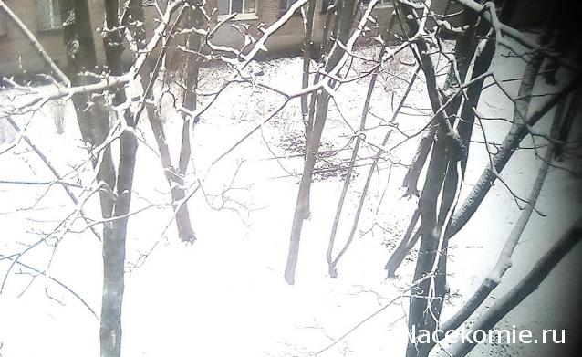 "Живой уголок"