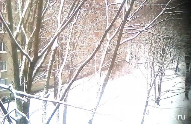 "Живой уголок"