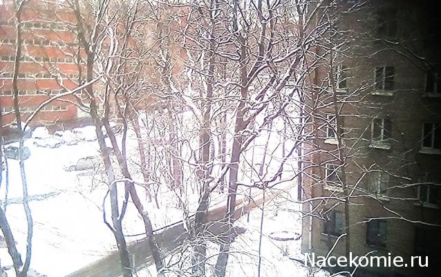 "Живой уголок"