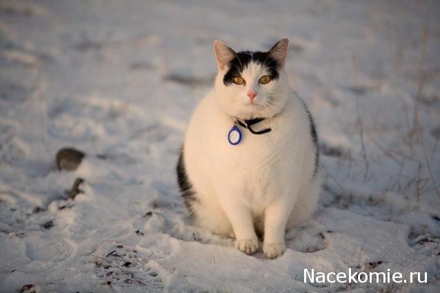 "Живой уголок"