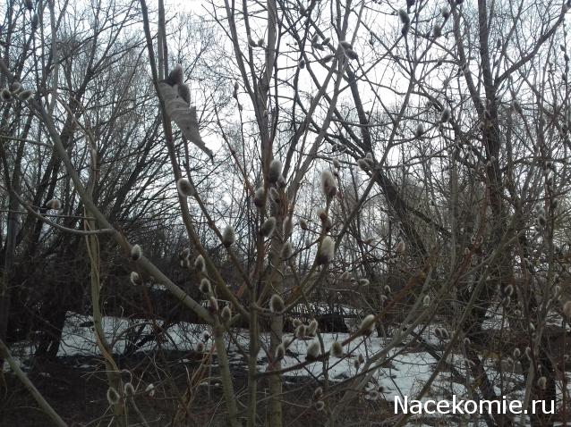 "Живой уголок"