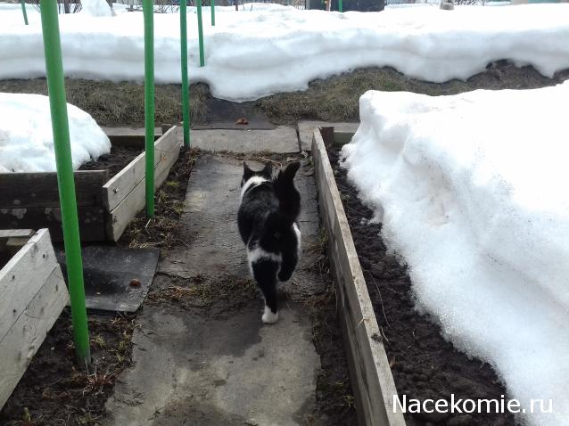 "Живой уголок"