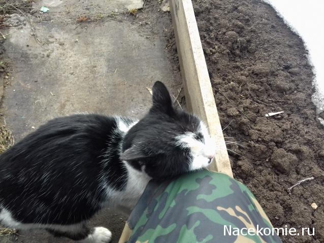 "Живой уголок"