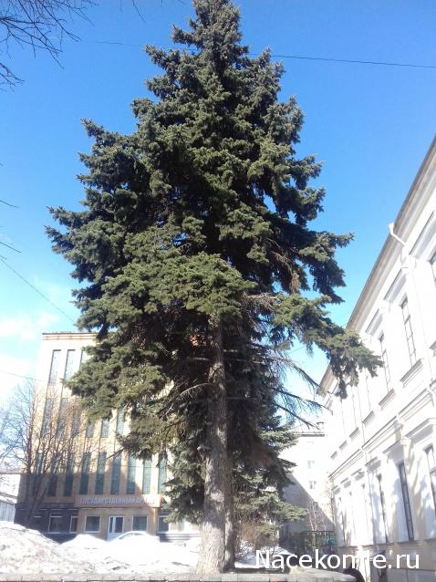 "Живой уголок"