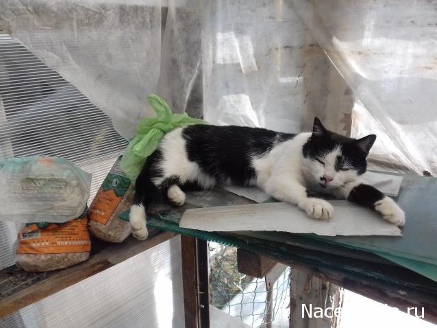 "Живой уголок"