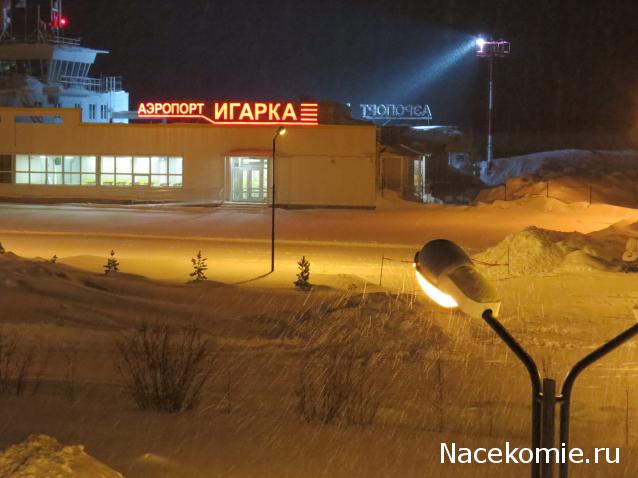 "Живой уголок"