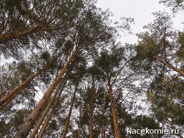 "Живой уголок"