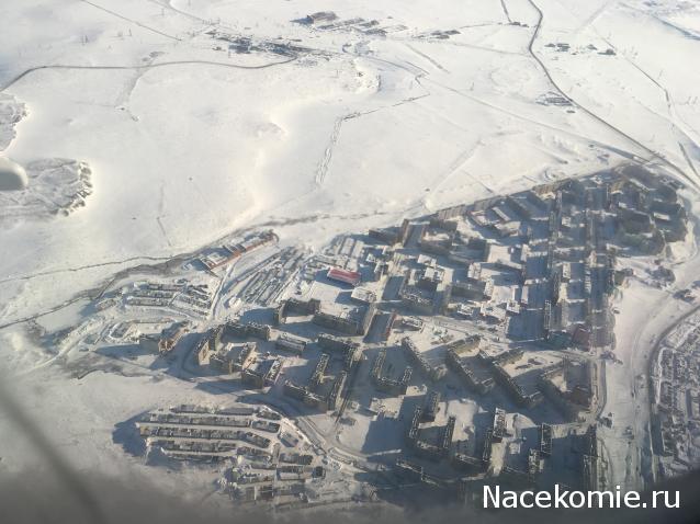 "Живой уголок"