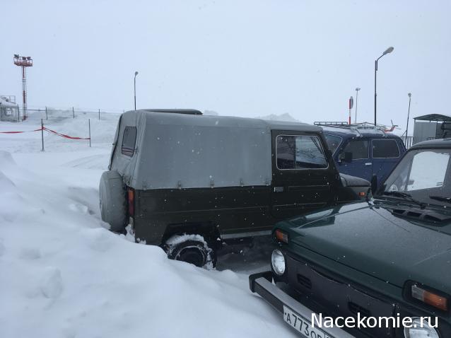 Автолегенды вживую