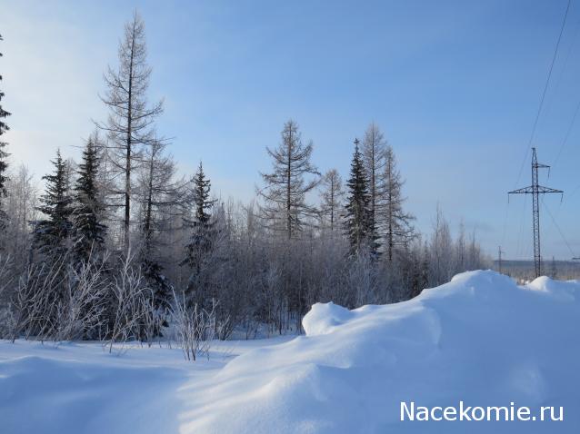 "Живой уголок"