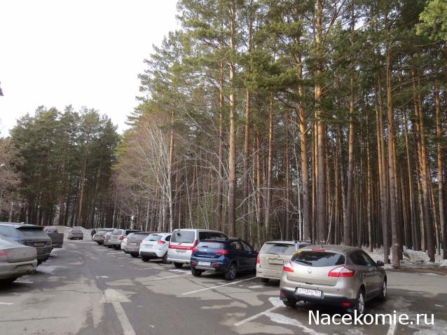 "Живой уголок"