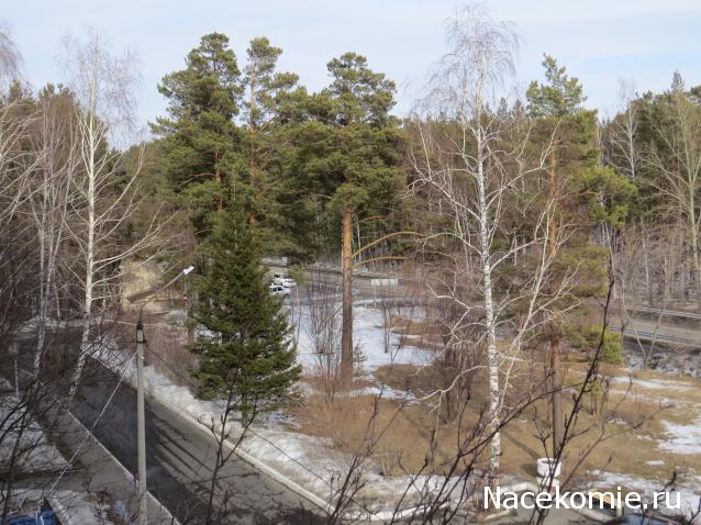 "Живой уголок"